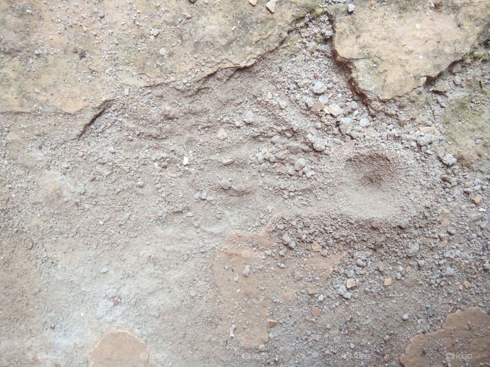 ant home/ant home texture/basic texture/ant in home/poor ant home