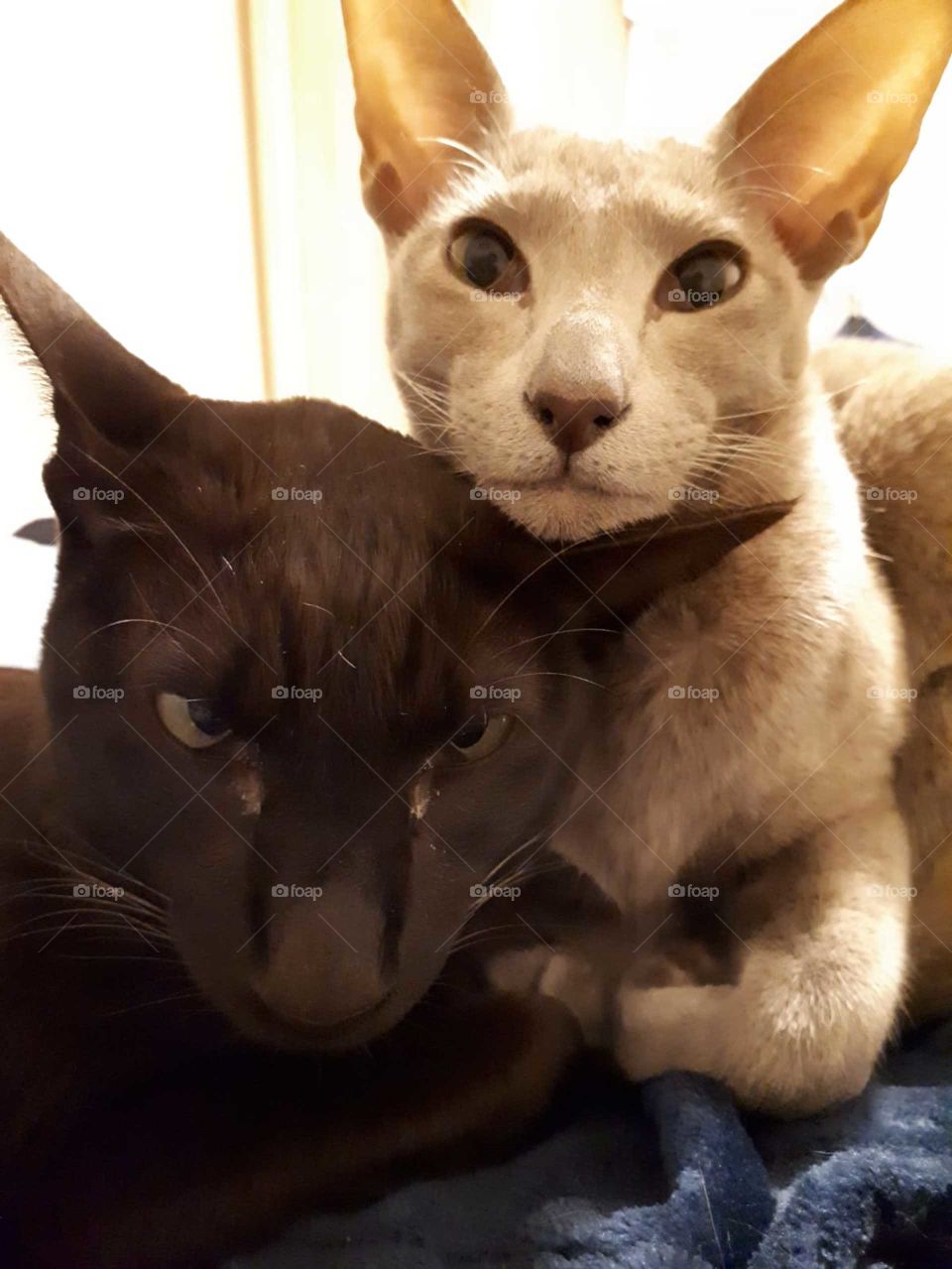 “Look at the camera!! “No I don’t want too !! 🙄