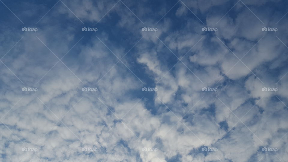 This peaceful cloud photo is very serene. Jus love looking straight up at the sky and looking at the clouds with all that fluff.