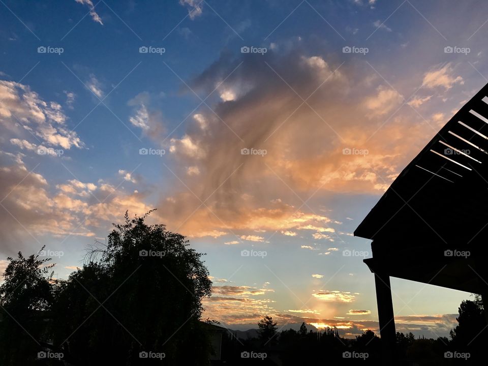 Gods beautiful creation 