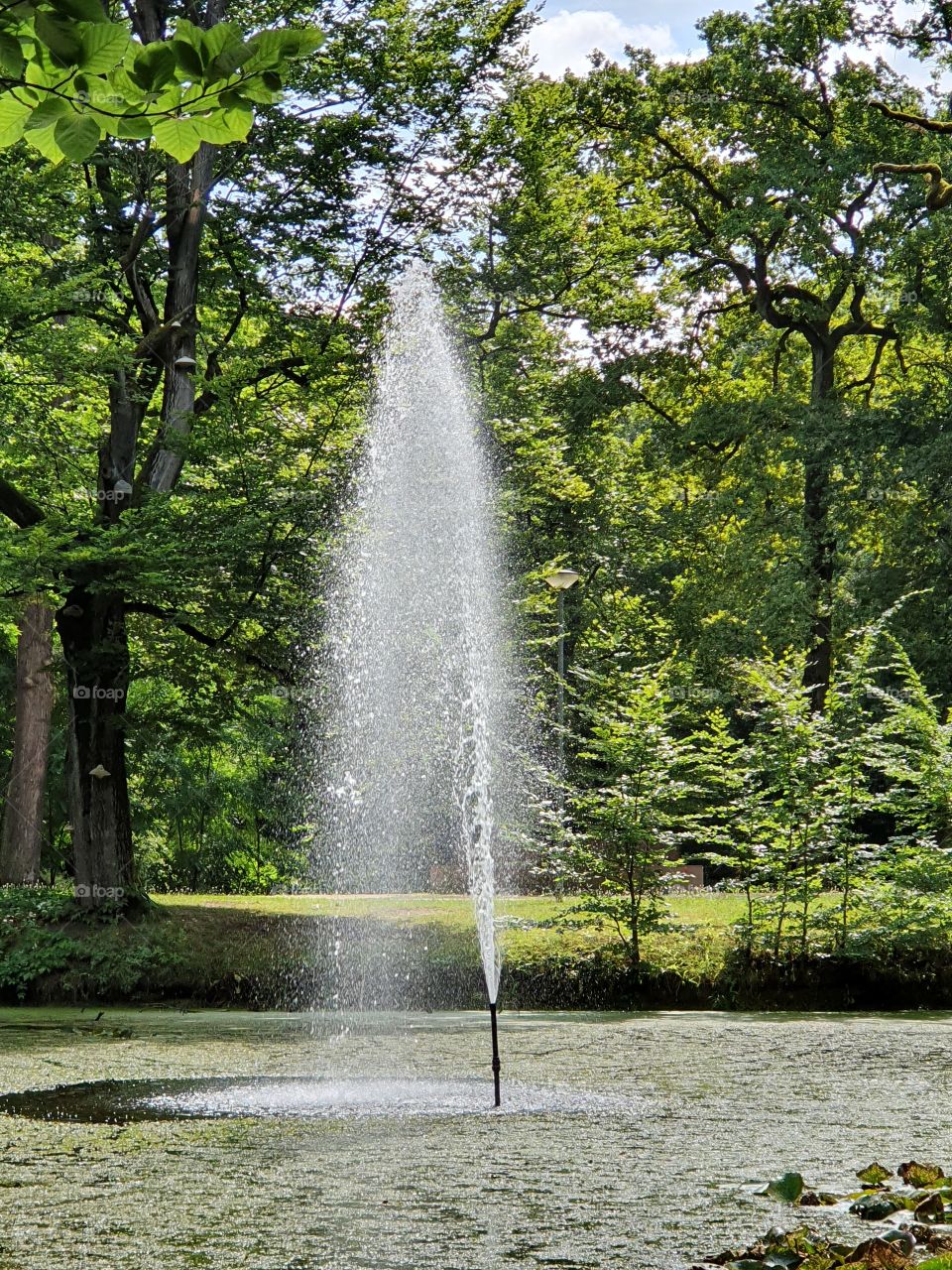 fountain