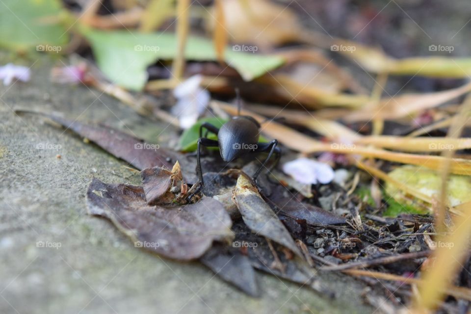 "Silence is the most powerful scream"