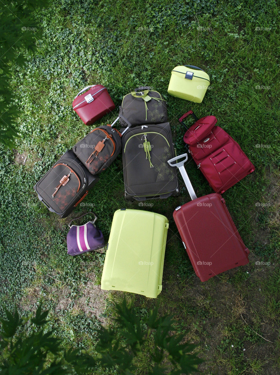 suitcases on the lawn