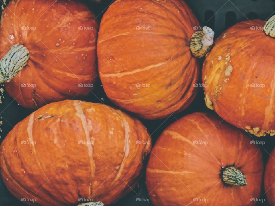 Orange colored dry pumpkins