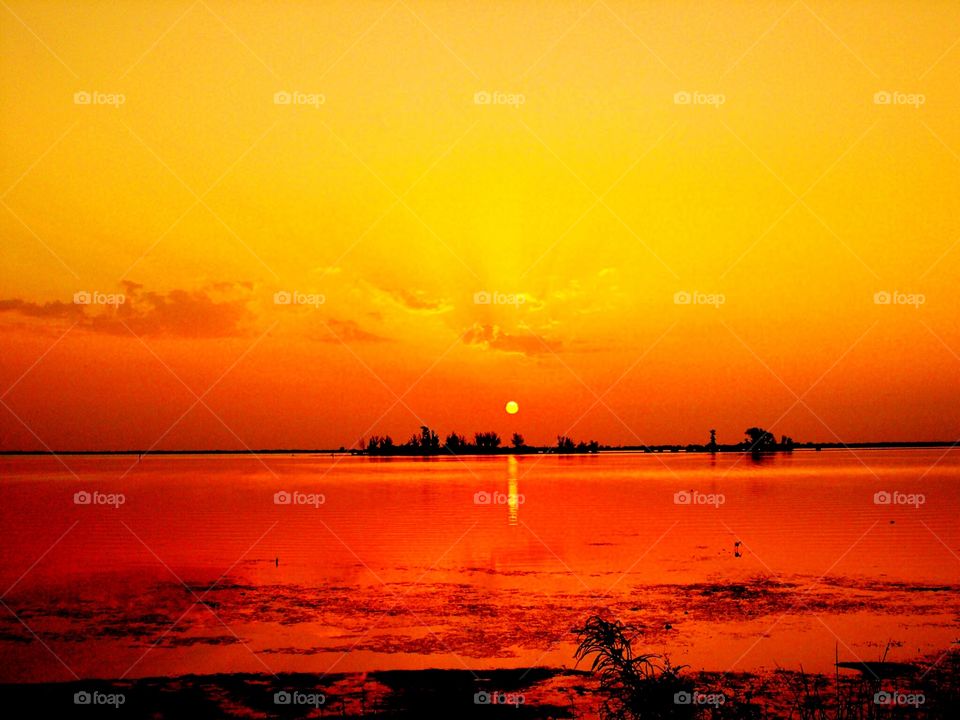 Beautiful views in Florida. 