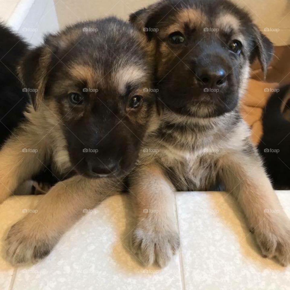 When they were just babies! 