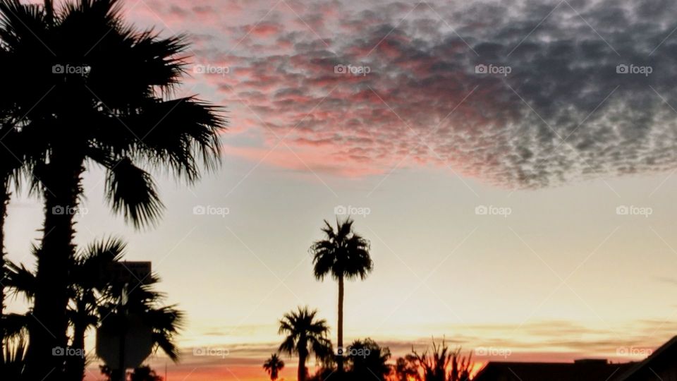 Reddish dust clouds roll into outlying area near Phoenix, AZ.