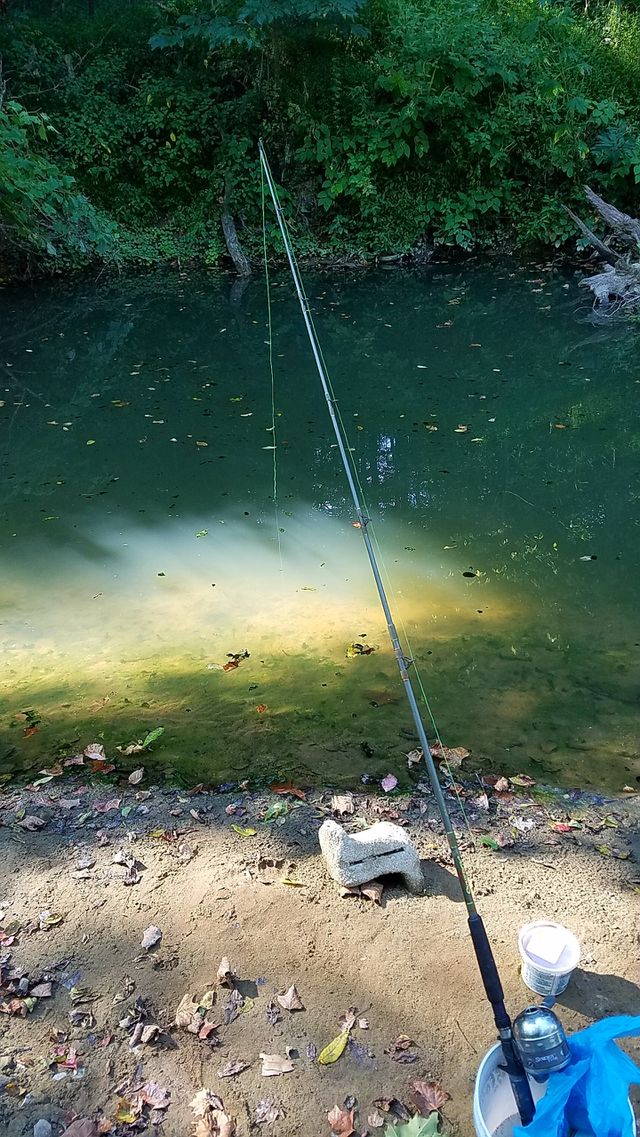 creek fishing