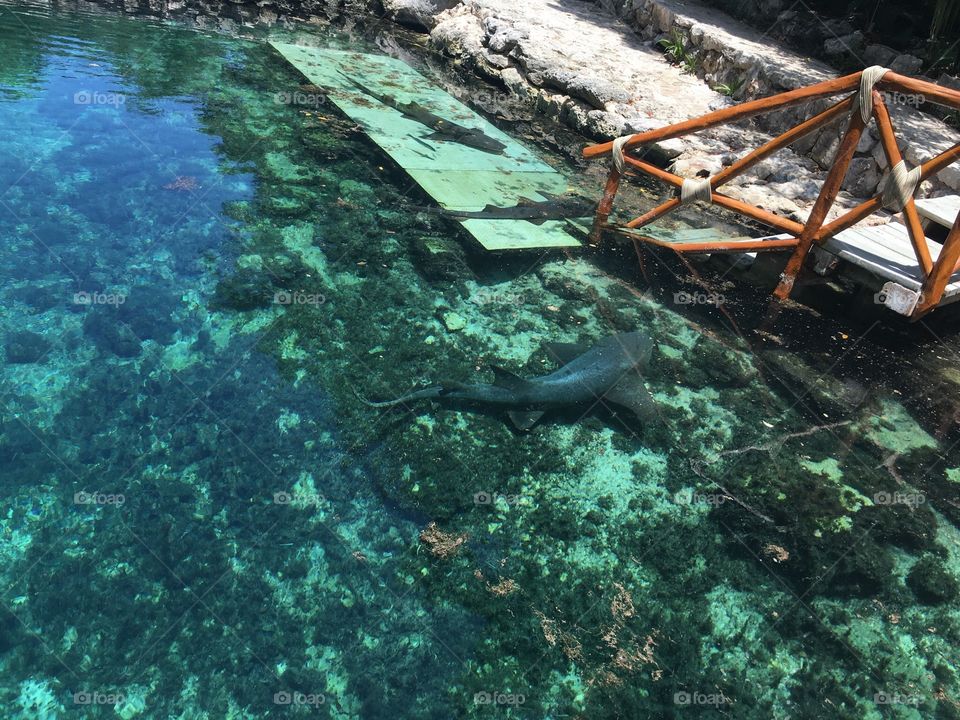 No Person, Water, Travel, Underwater, Ocean