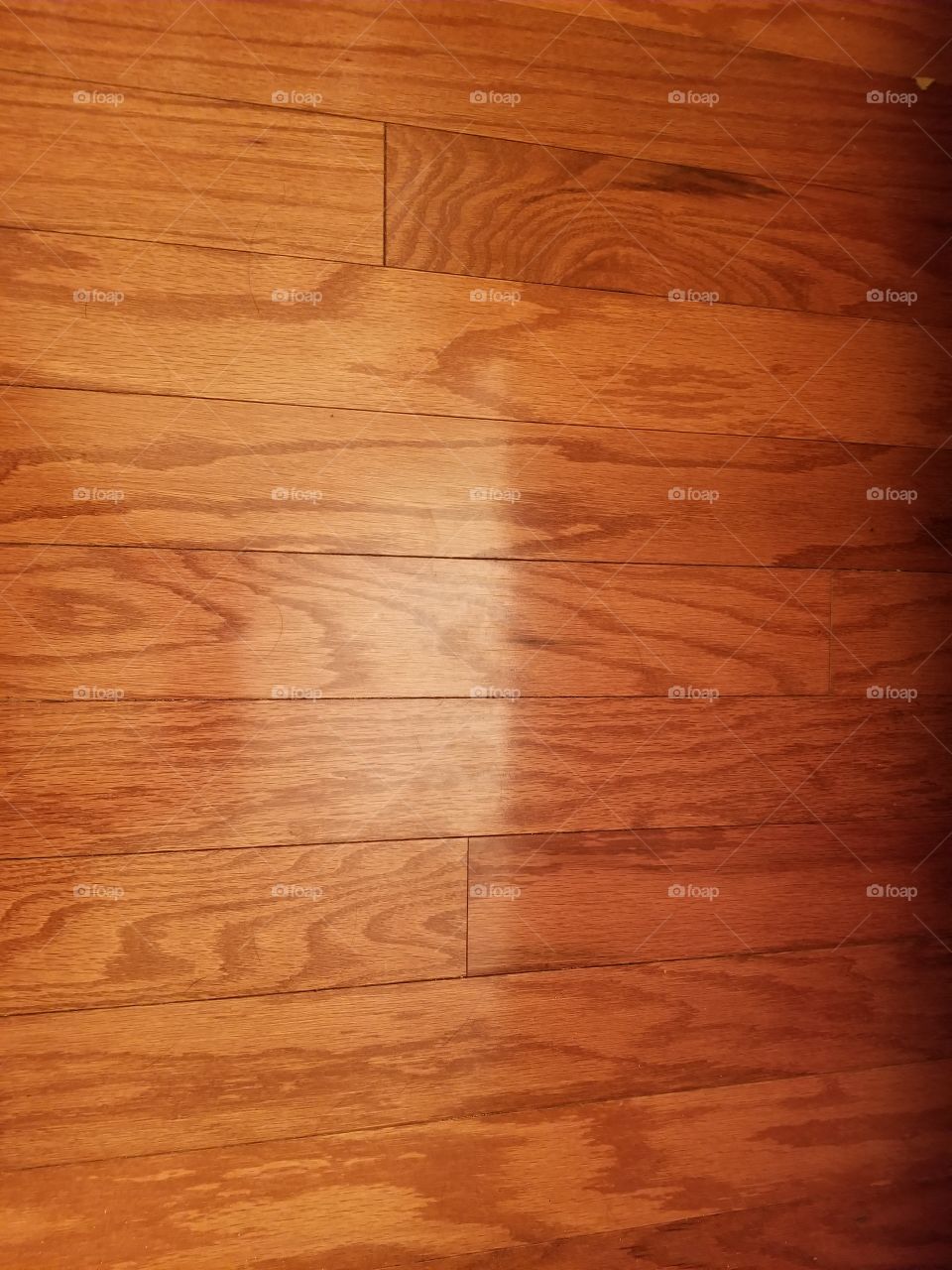 woodgrain floor laminate