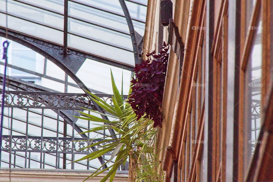old building with glass windows