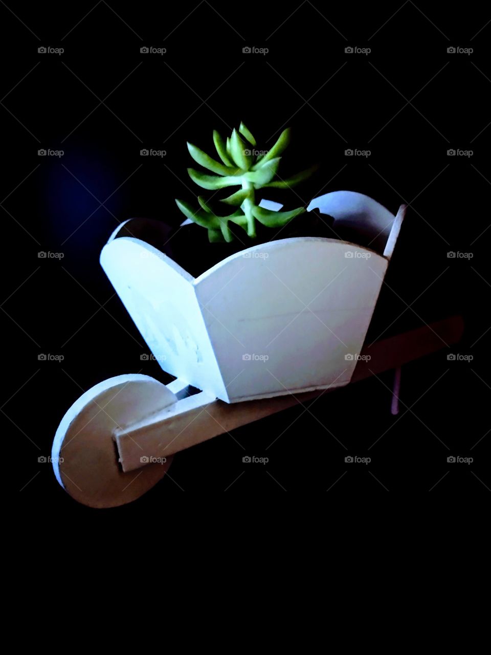 Carrinho carregando amor.