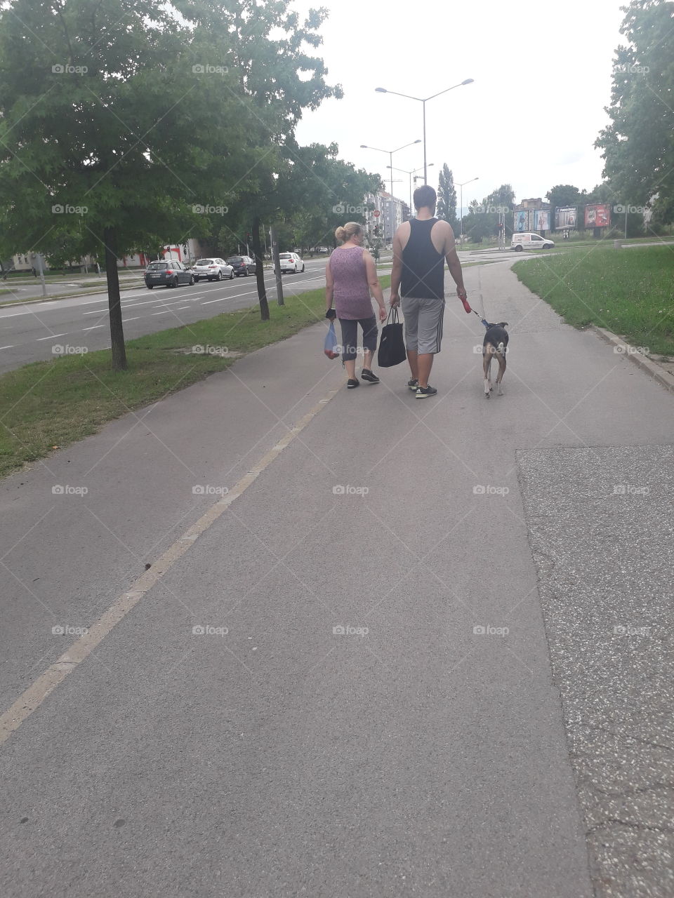 walk your dog