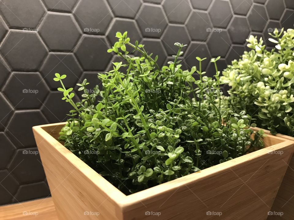 Small fake plant in cute wooden box set up on kitchen bar with black backsplash. 