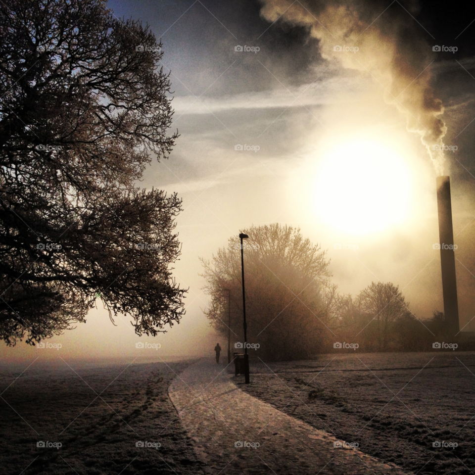 Dawn, Sun, Sunset, Landscape, Winter