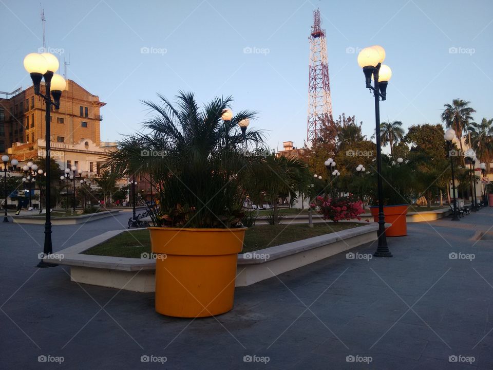Place-Tampico City