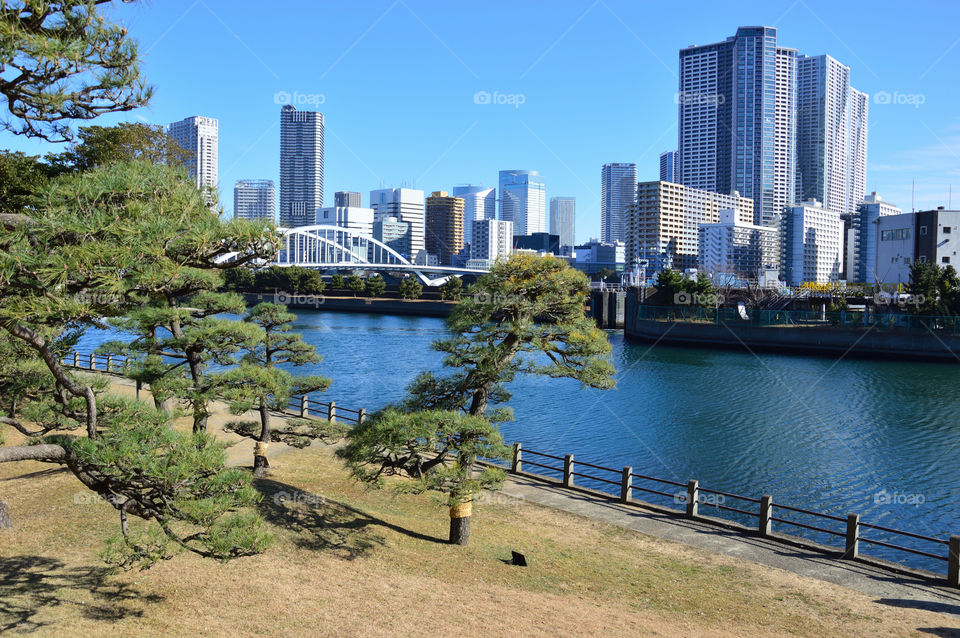 skyscrapers and bridge in Tokyo