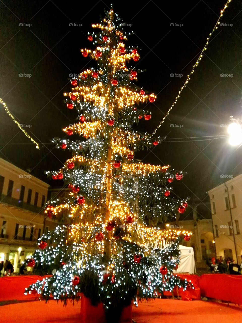 Christmas tree in the city center, Italy