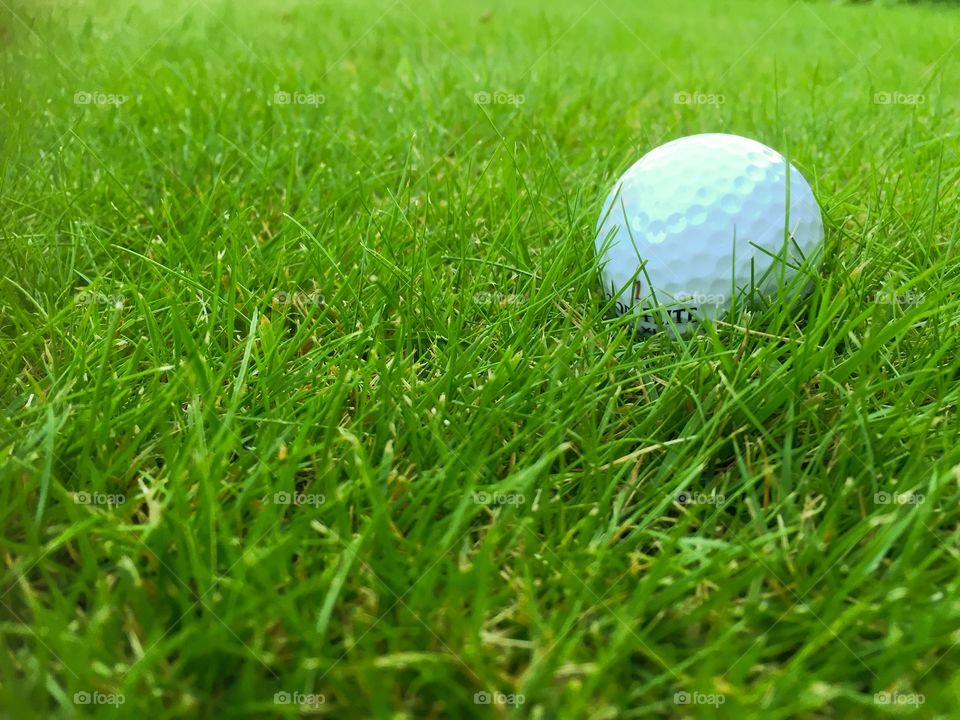 Golf ball