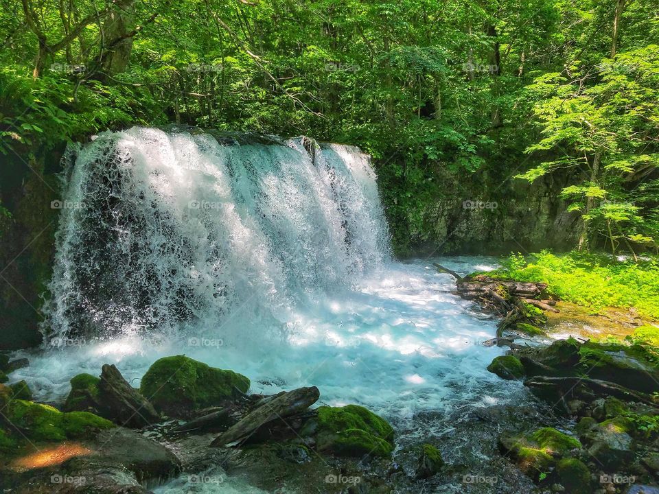 Tranquil blue waterfall in the Japanese forest along Lake Kawaguchi.