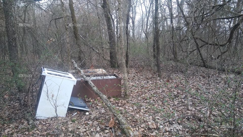 junk in the woods