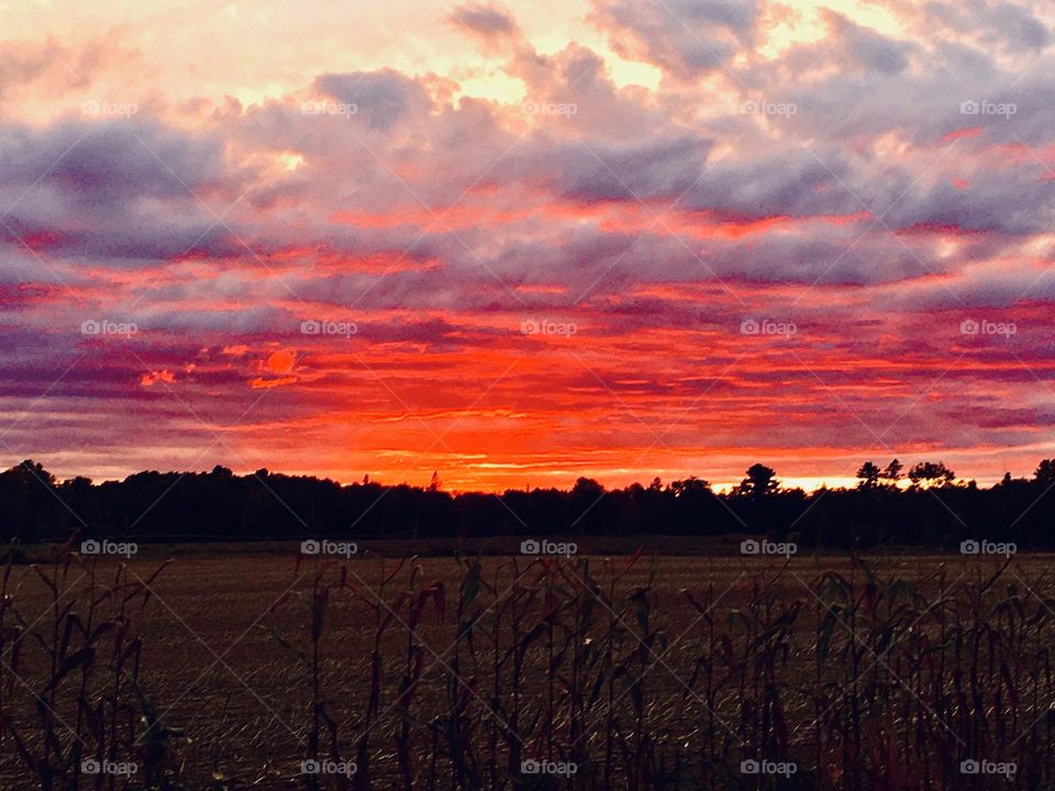 Sunset over a shadow-covered, harvested corn field during Autumn in Maine.