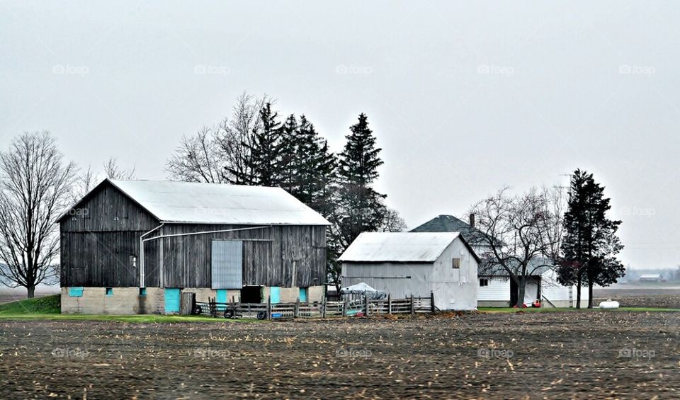 farm life