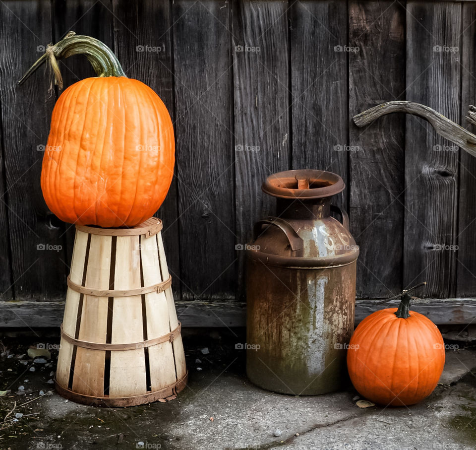 Still life with pumpkins