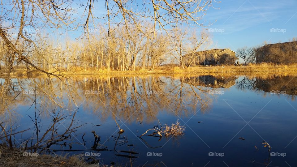 Reflective Lake