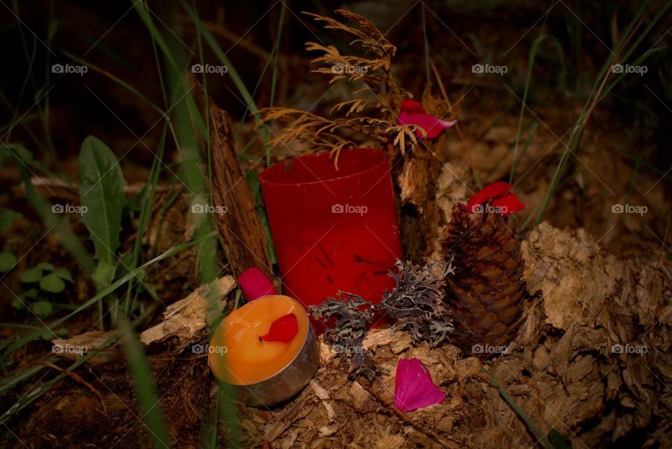 The mystery of a small altar in the forest.