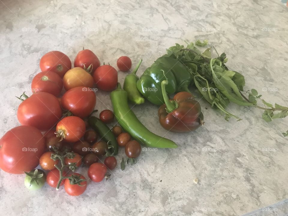 Fresh garden veggies 