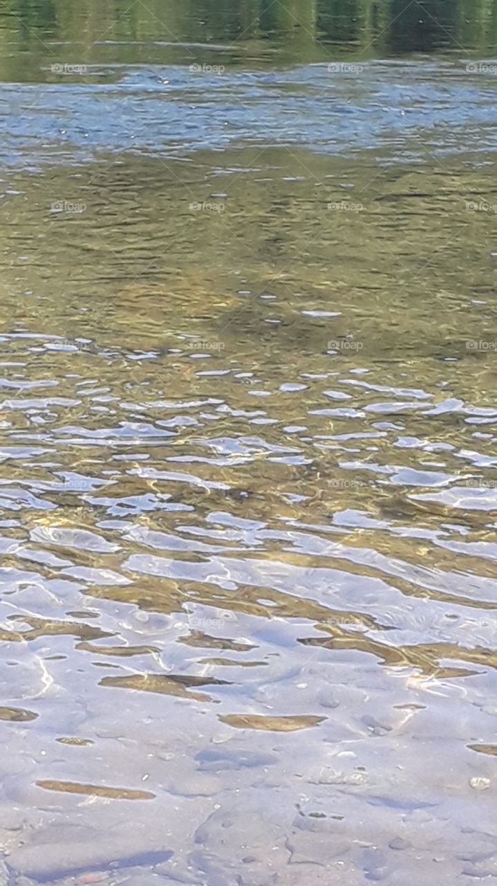 aguas de río maullin