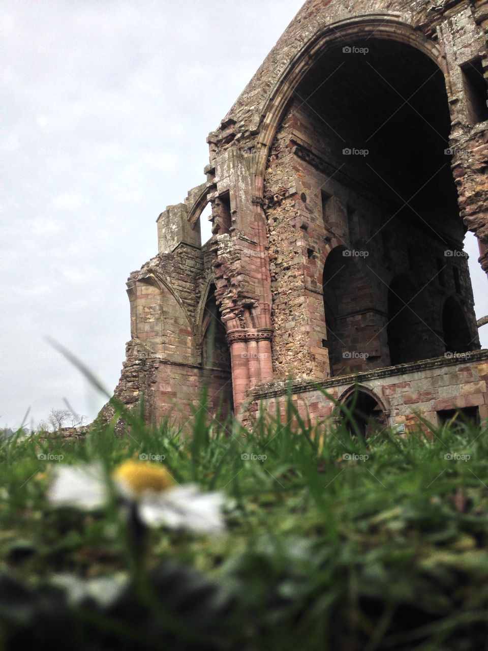 A single flower in front of the Melrose Abbey cannot draw the eye from the historic stone structure