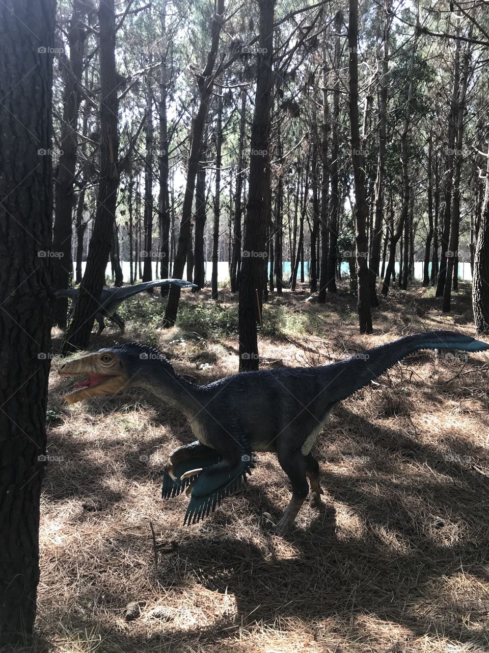 Dino parque Lourinhã 
