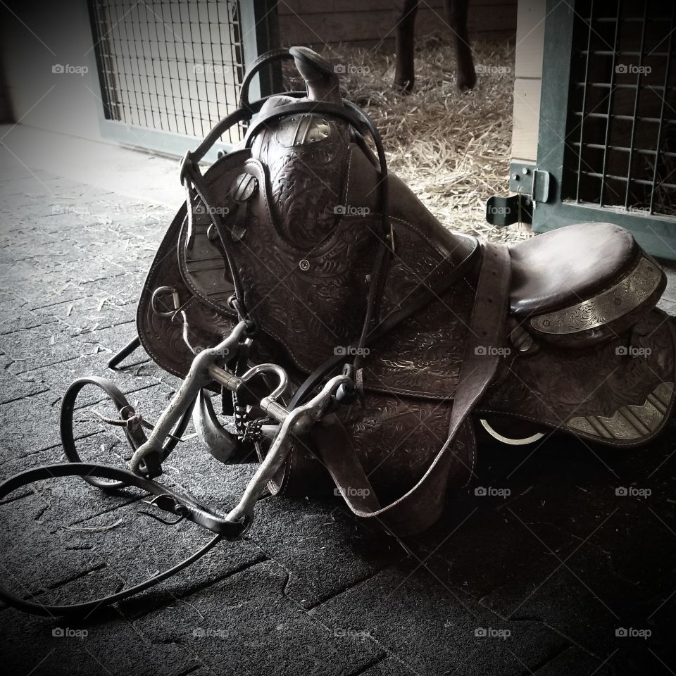 Cavalry, Old, Vintage, Transportation System, Leather