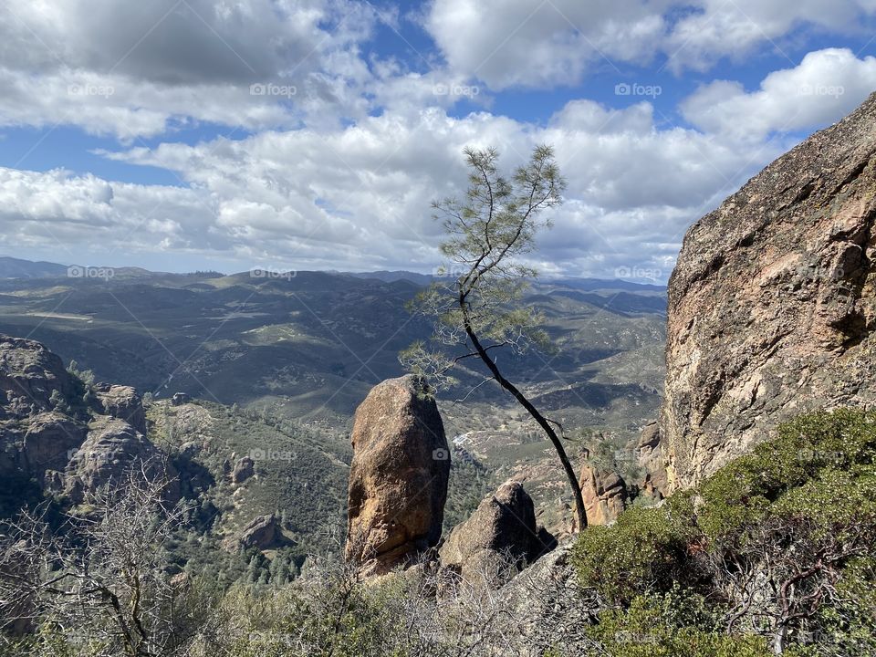 Pinnacles National Park