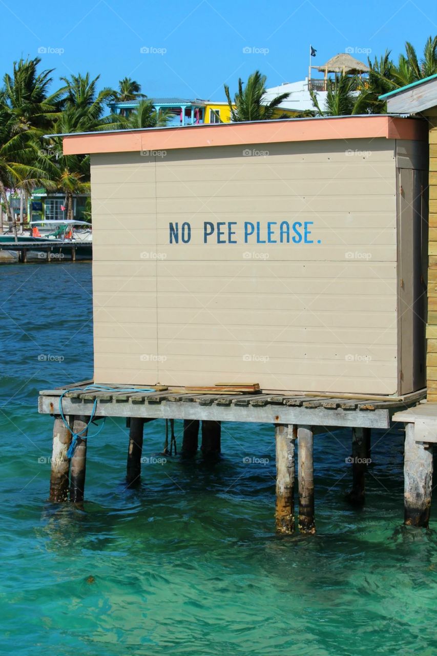 No Pee Please 