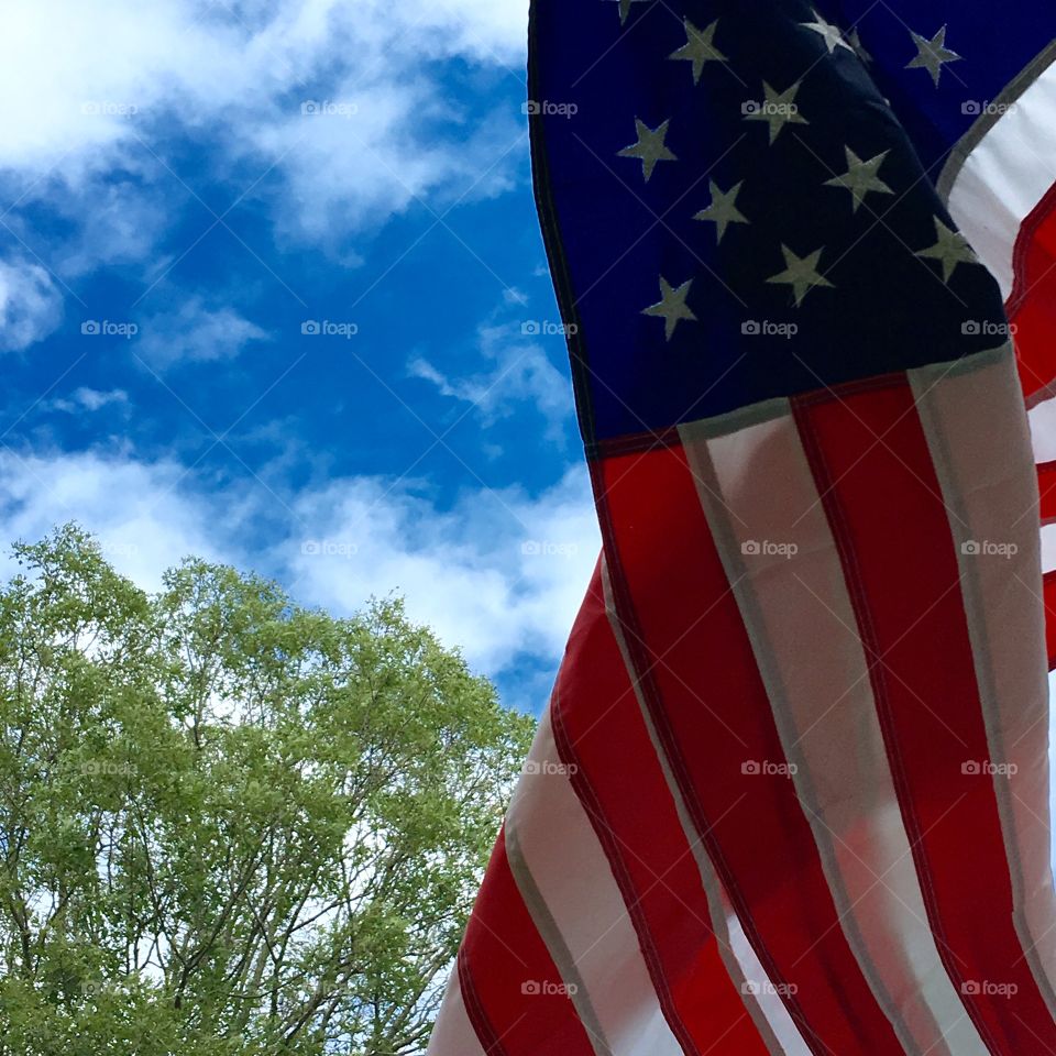 Old Glory🇺🇸Flag in wind, blue sky, oak tree!