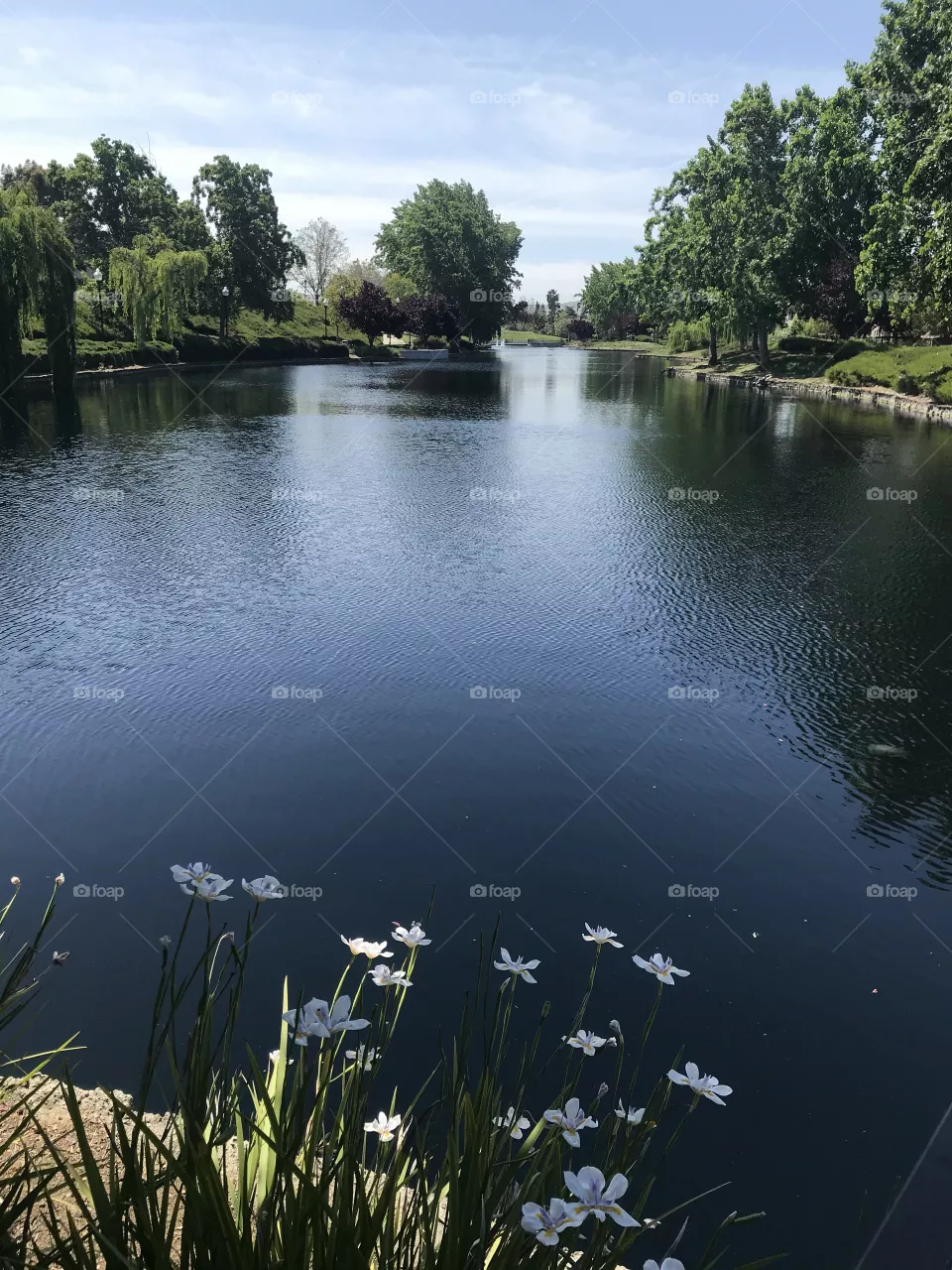 Reflective pond