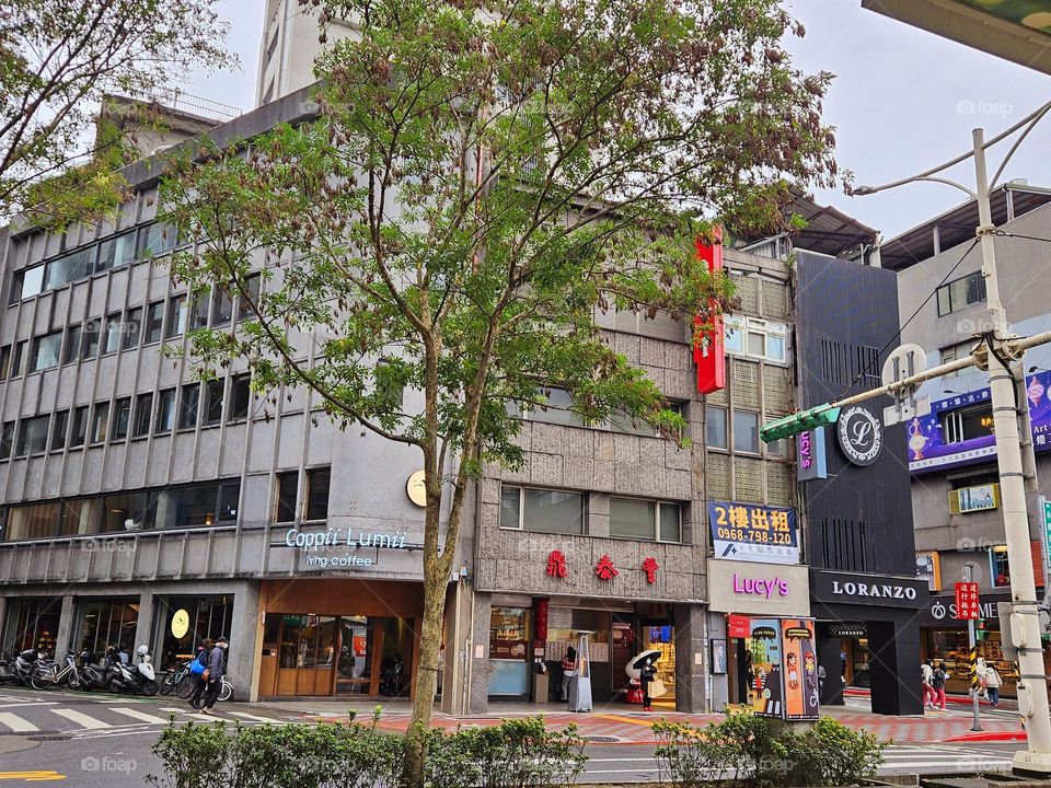 Xinyi Din Tai Fung retro architecture street scene
在 Google