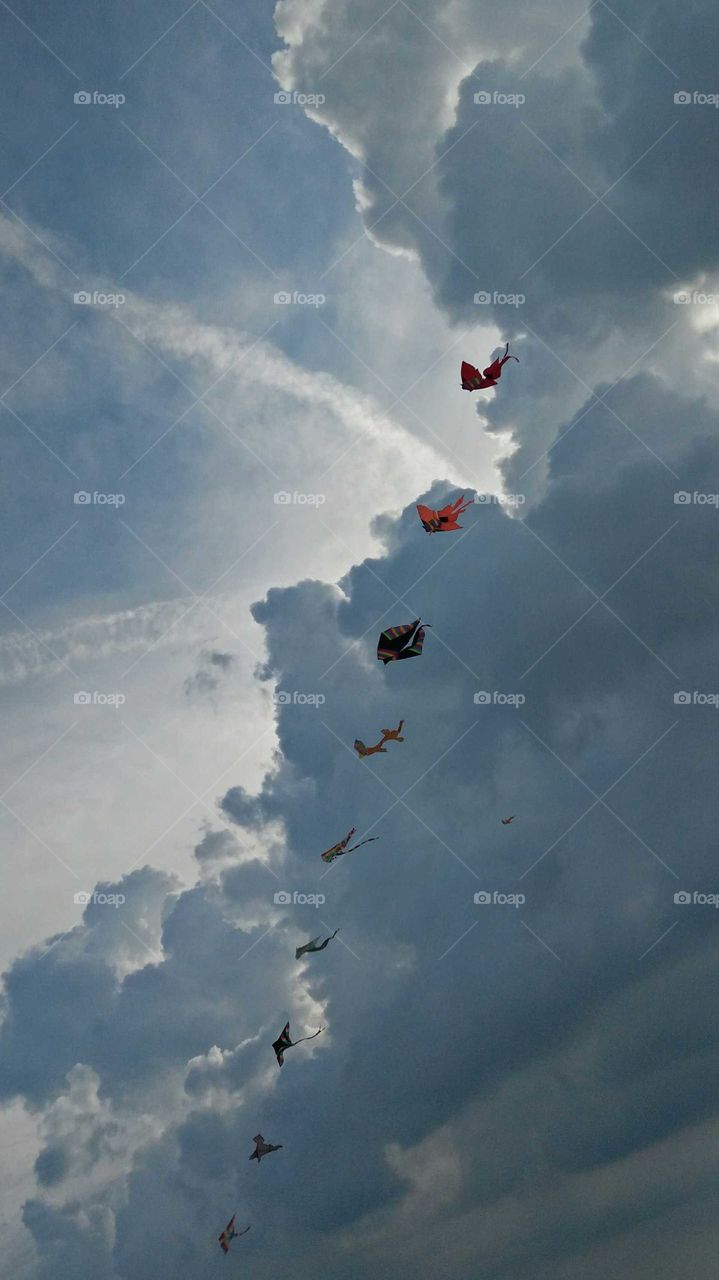 Kite in cloudy sky