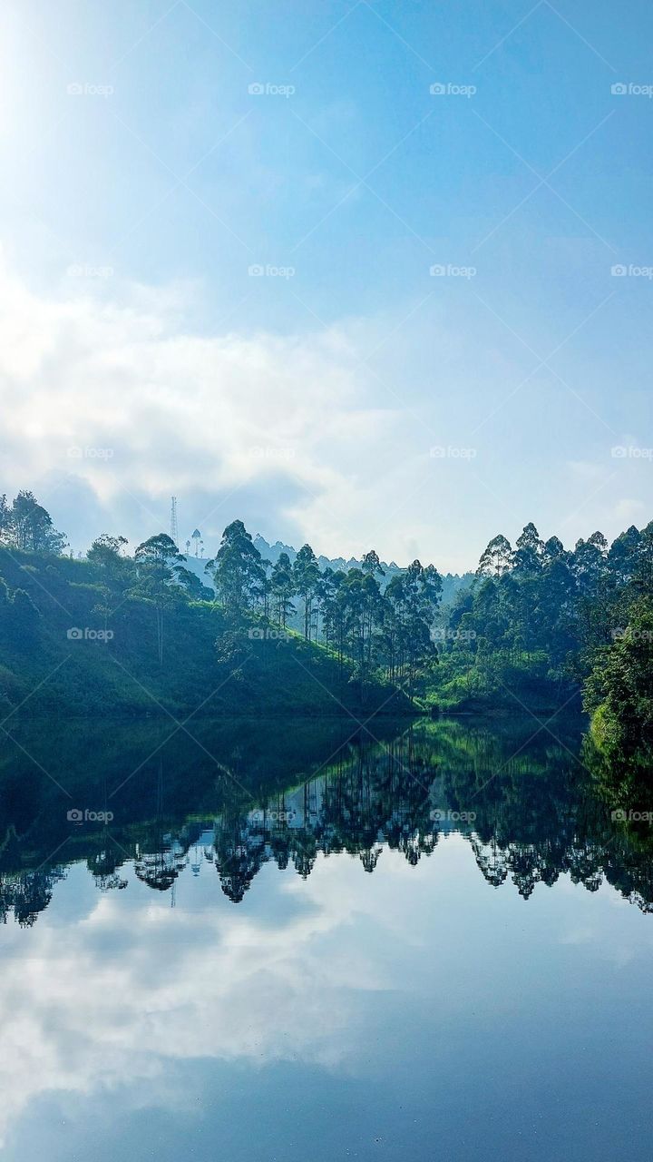 Amazing Mirrored Reflection on a Calm Reservoir