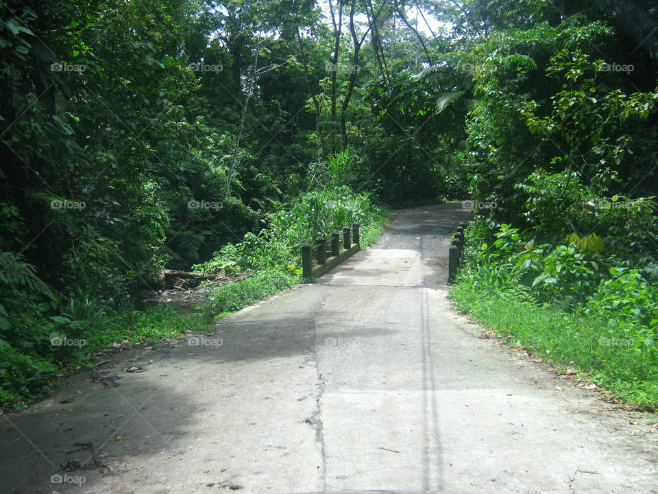 Narrow bridge in Costa Rica. We were issued with a 4x4 and the GPS warned us about these bridges everywhere in the country.