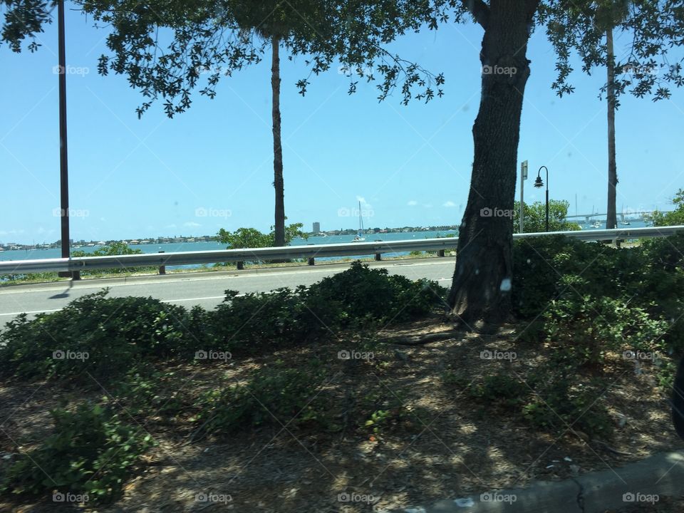 Sand, Sea and the Road