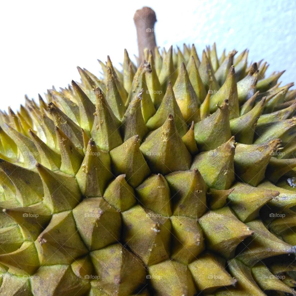 Fresh durian fruit on market