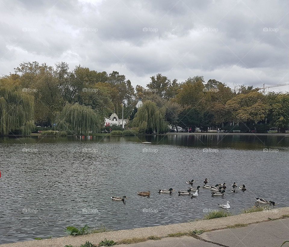 beautiful nature of budapest