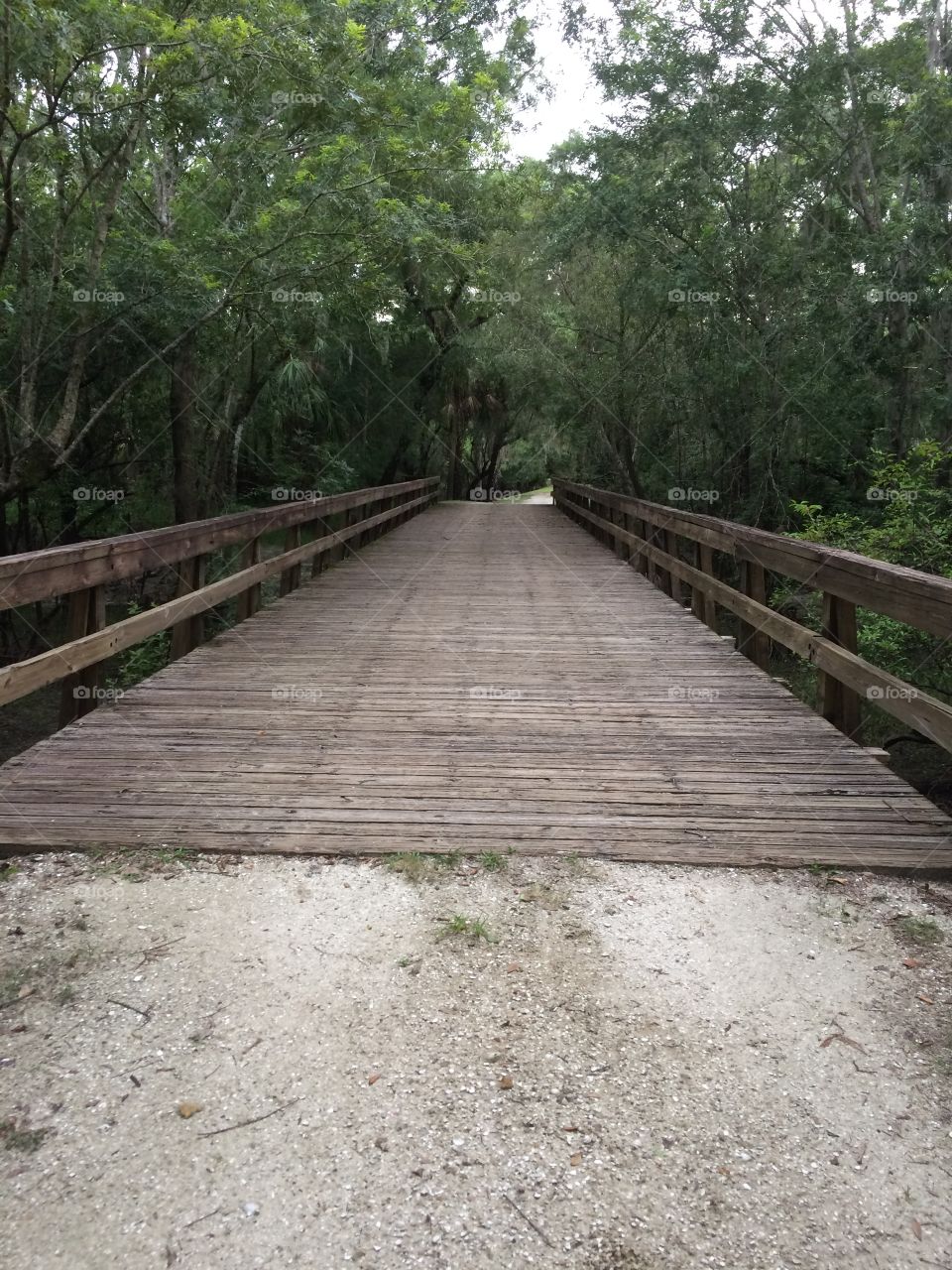 Wooden bridge 