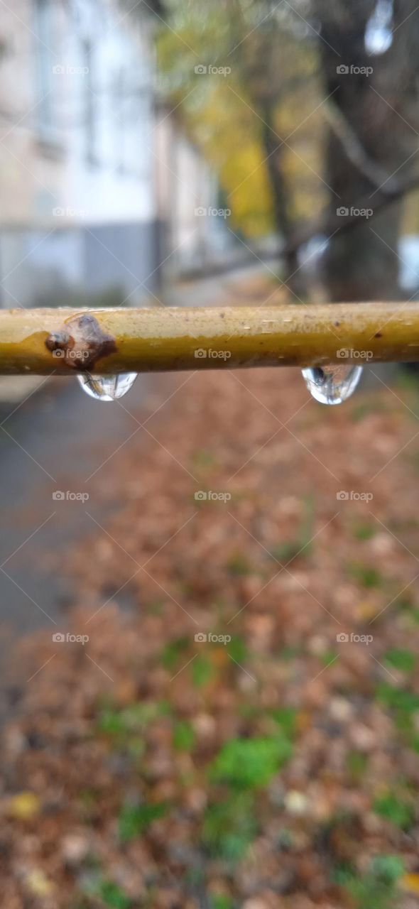 water drops
