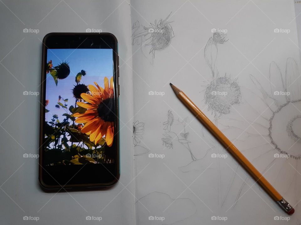 Sketching Sunflowers