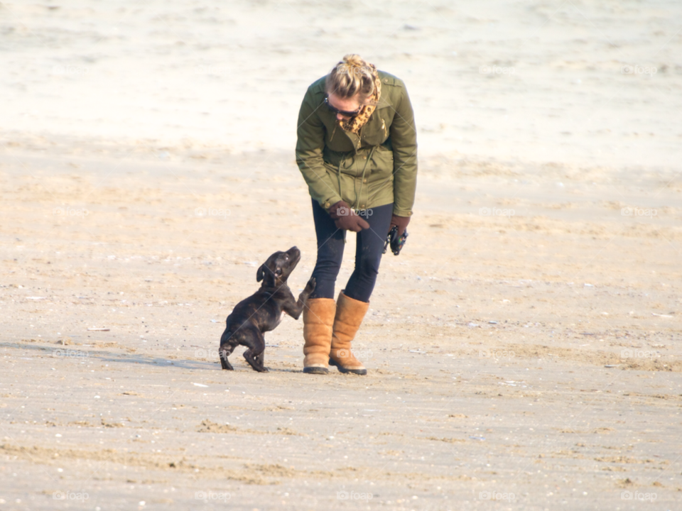 beach ocean play dog by KathOnEarth